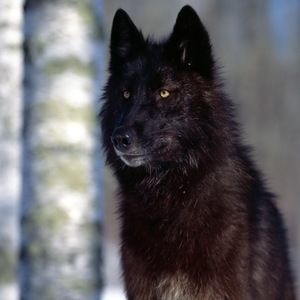 Meet your Posher, Lexi